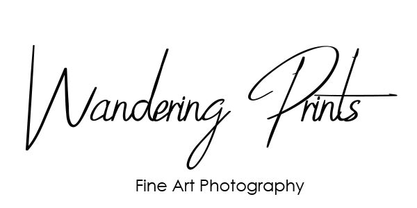 Wandering Prints